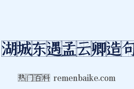 湖城东遇孟云卿造句是什么意思的图片